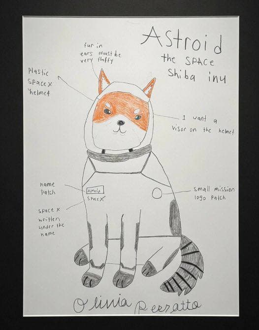 Astroid the Space Shiba Inu, drawn by Liv